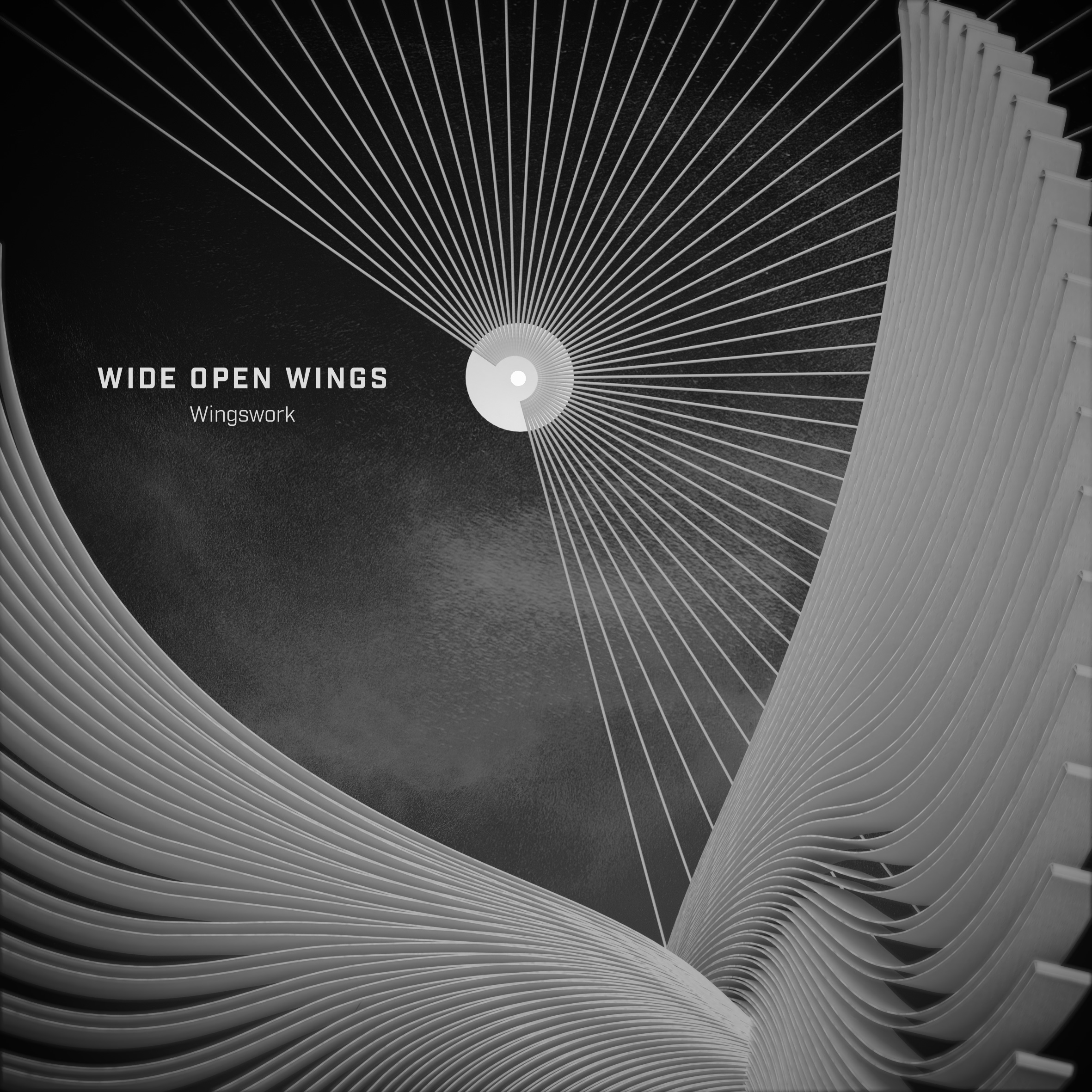 wideopenwings.kos.ro